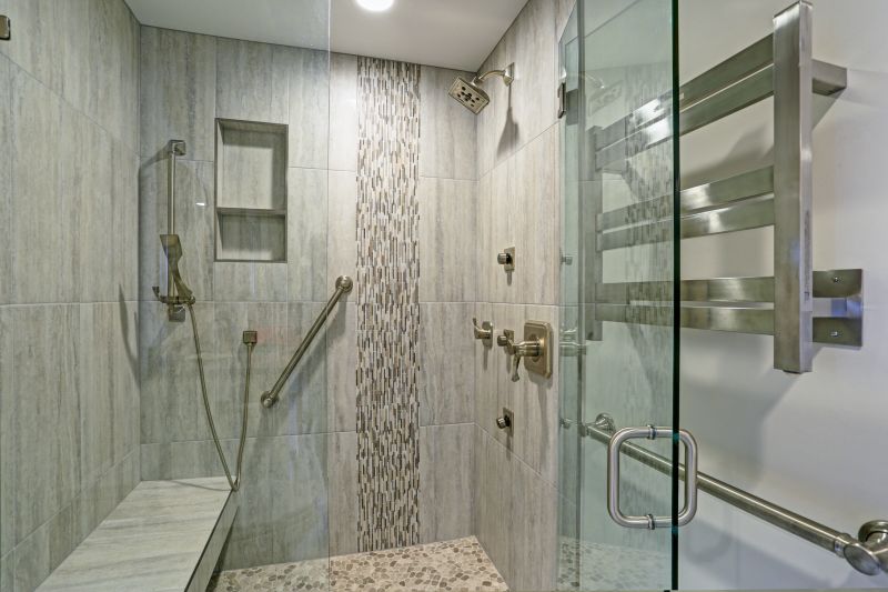 Contemporary Shower Area